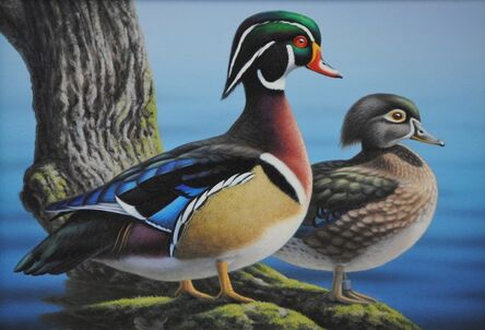 Ron Louque, ‘Wood Ducks’, 2009