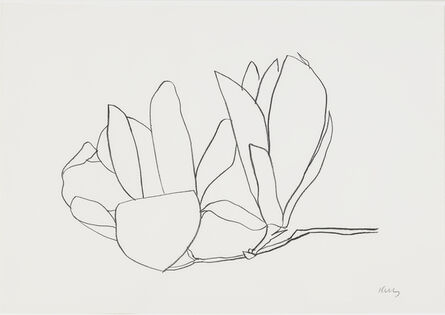 Ellsworth Kelly, ‘Magnolia’, 1966