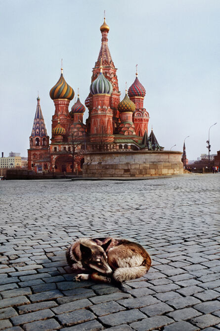 Steve McCurry, ‘Dogs sleeps near St. Basil’s Cathedral, Moscow, Russia’, 1993