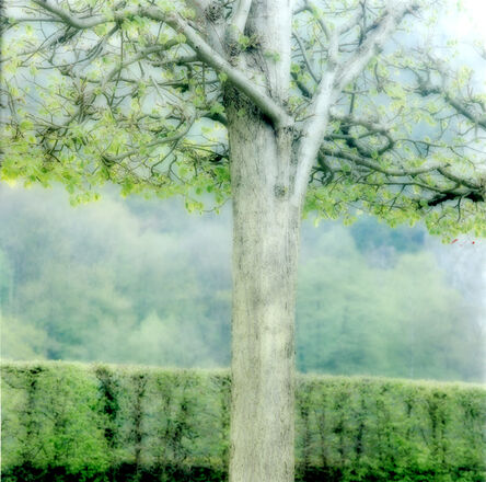 Lynn Geesaman, ‘Freyr Garden, Belgium (4-04-32c-12)’, 2004