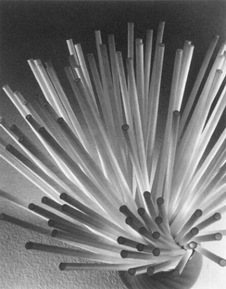 Ruth Bernhard, ‘Straws’, 1930