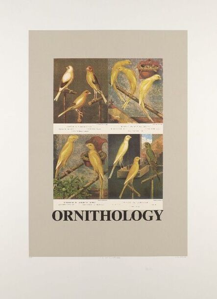 Peter Blake, ‘O is for Ornithology’, 1991