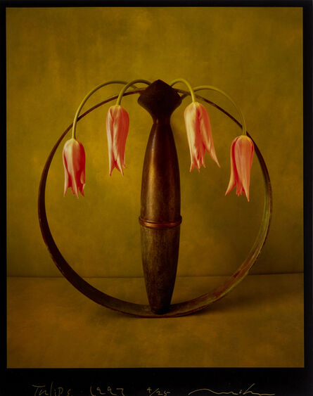 Masatomo Kuriya, ‘Tulips’, 1997