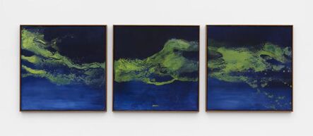 Thiago Rocha Pitta, ‘landscape with cyanobacteria’, 2018
