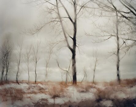 Todd Hido, ‘Untitled, #10132, From the series Excerpts From Silver Meadows’, 2011
