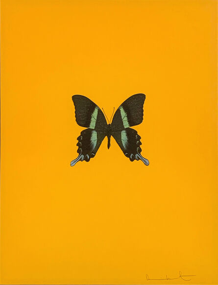 Damien Hirst, ‘Six Butterflies III’, 2011