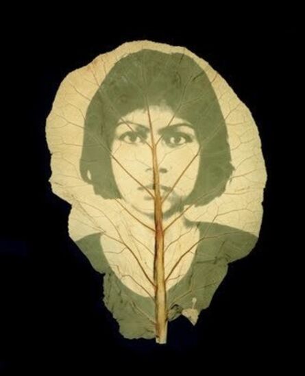 Binh Danh, ‘The Botany of S-21 #1’, 2006