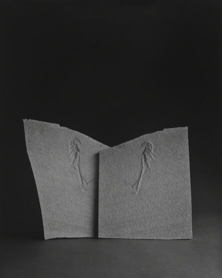 Hiroshi Sugimoto, ‘Limited Edition of Cahiers d'Art 1, 2014 - English Edition’, 2014