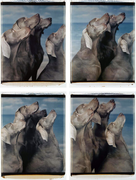 William Wegman, ‘Flock (suite of four panels)’, 1998