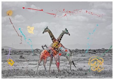 Arno Elias, ‘Giraffe Duet’, 2018