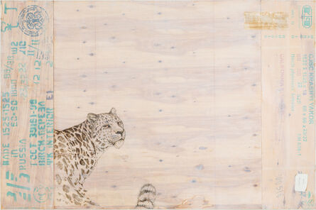 Joseph Rossano, ‘EDNA: Panthera pardus orientalis (Amur Leopard)     ’, 2015