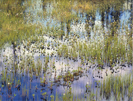 Christopher Burkett, ‘Spring Pond and Reflections, Alaska’, n.d.