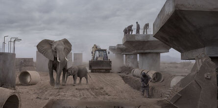 Nick Brandt, ‘Bridge Construction With Elephants & Excavator’, 2018