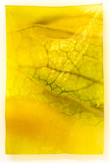 Iris Richardson, ‘Physalea Green and Yellow’, 2020
