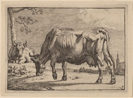 Paulus Potter, ‘Grazing Cow’, 1650