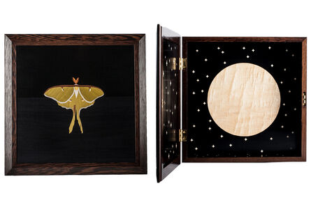 Tom Wessells, ‘Luna Moth Cabinet’, 2017
