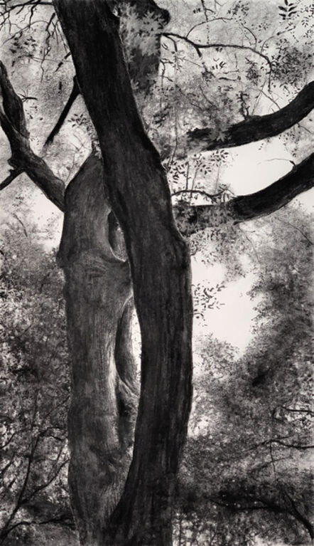 Jeffrey Blondes, ‘20-08D Bois de Mametz 03h33m00s’, 2020