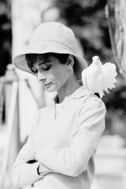 Terry O'Neill, ‘Audrey Hepburn with Dove, classic view (Lifetime Edition)’, 1966