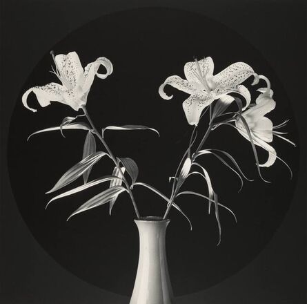 Robert Mapplethorpe, ‘Lilies’, 1984