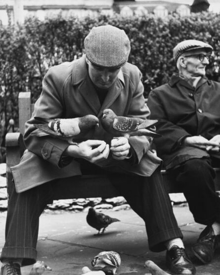 Shirley Baker, ‘Manchester (Man with Pigeons)’, 1967