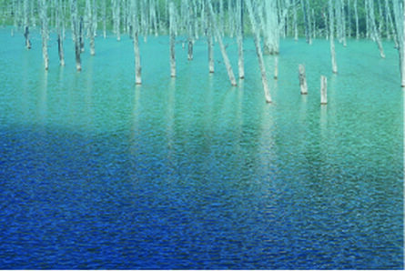 KAZZ MORISHITA, ‘Blue Pond’, 2016