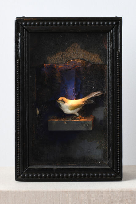 Joseph Cornell, ‘Untitled (Yellow Bird Habitat)’, ca. 1958