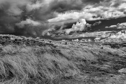 Barry Guthertz, ‘Windswept Tresco Island, Cornwall, England’