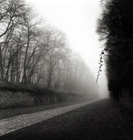 Michael Kenna, ‘Suspended Vine, Marly, France’, 1995