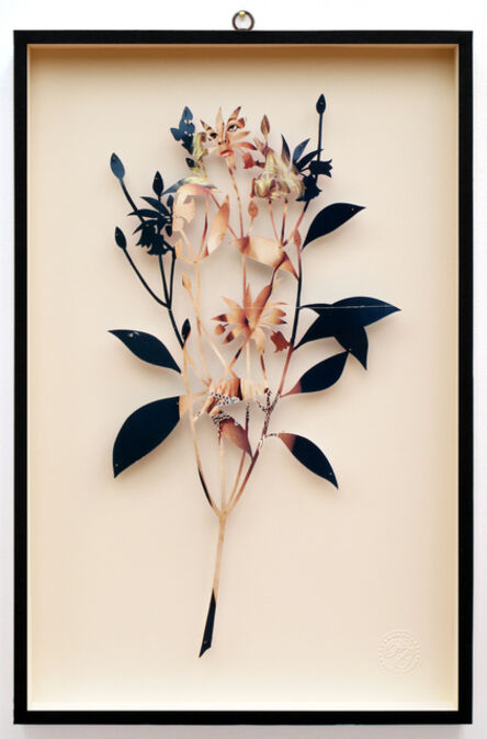 Paolo Giardi, ‘You Can Learn a Lot of Things From the Flowers - Plant CXXXVII - Enkianthus quinqueflorus - Playmen - La Playgirl di Dicembre - Mia’, 2014