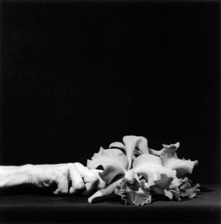 Robert Mapplethorpe, ‘Orchid and Hand’, 1983