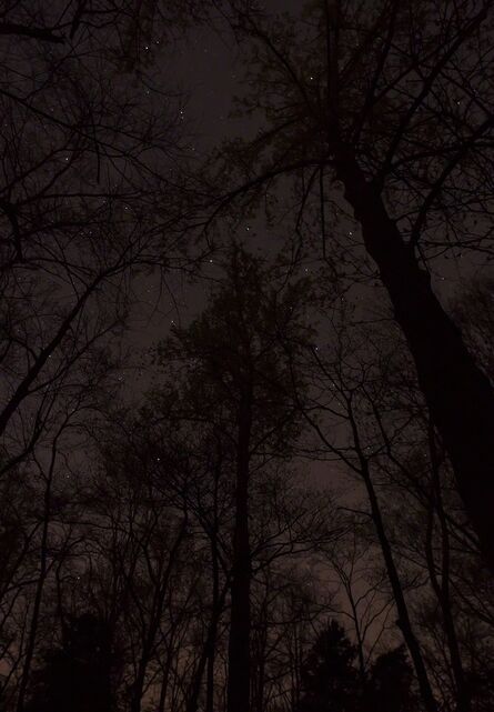 Jeanine Michna-Bales, ‘A Lesson in Astronomy, Southern Kentucky’, 2014