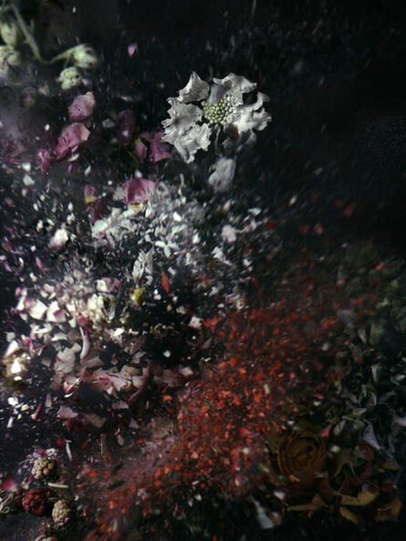 Ori Gersht, ‘Time After Time, Untitled 17’, 2006