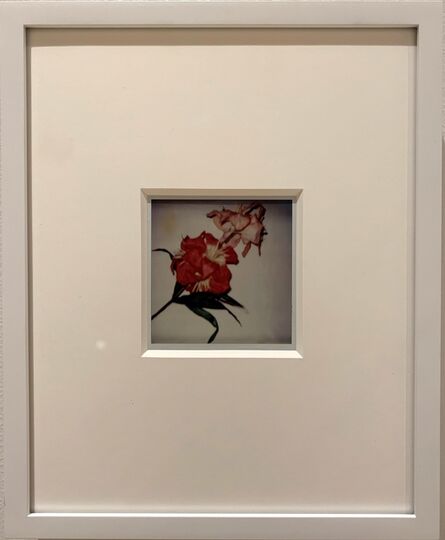 Andy Warhol, ‘Flowers’, 1982