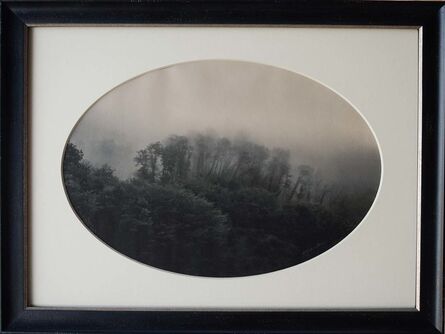 Kate Breakey, ‘Trees in Mist, Benabbio, Italy’