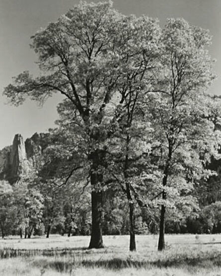 Ansel Adams, ‘Autumn-Yosemite’, ca. 1932