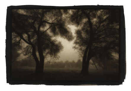 Kerik Kouklis, ‘Two Trees, River Bend Park, Sacramento, CA’, 2021