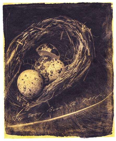 Brigitte Carnochan, ‘For Every Bird A Nest’, 2018