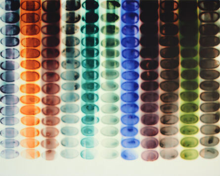 Jaq Chartier, ‘11 Dilutions’, 2015