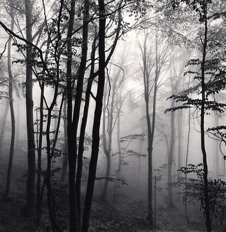 Michael Kenna, ‘Forest Mist, Study 2, Rigopiano, Abruzzo, Italy’, 2016
