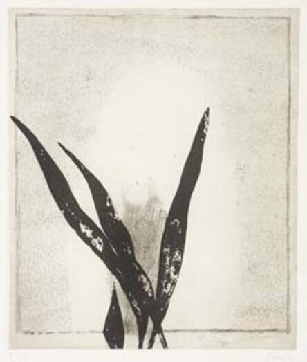Prunella Clough, ‘Mirror and Plant’, 1996
