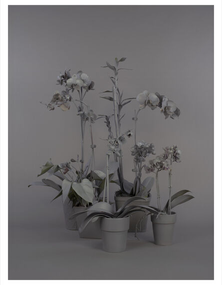 Stephanie Syjuco, ‘Neutral Orchids (Cluster 1)’, 2016