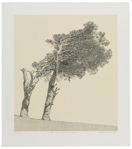 Anton Kannemeyer, ‘Pine Trees, University Estate’, 2017