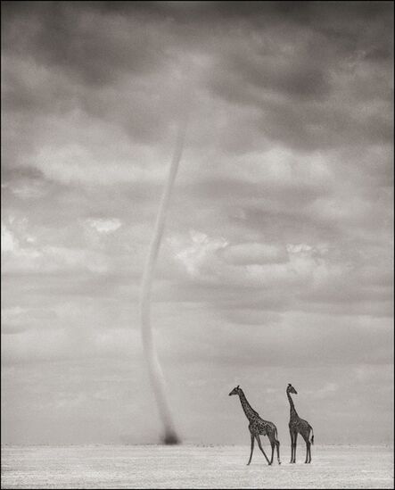 Nick Brandt, ‘Giraffes & Dust Devil, Amboseli 2007’, 2007