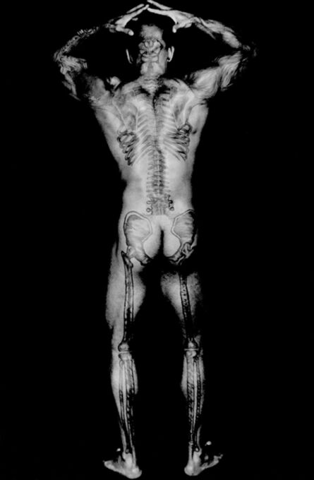Dianora Niccolini, ‘Ronaldo's Skeletal Tattoo Back’, 2004