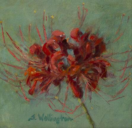 Susan Wellington, ‘Spider Lily’, 2019