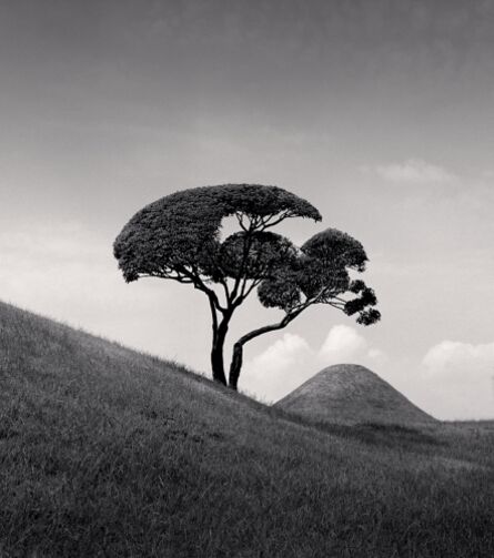 Michael Kenna, ‘Tree and Mountain, Suizenji Joju-En Garden, Japan’, 2002