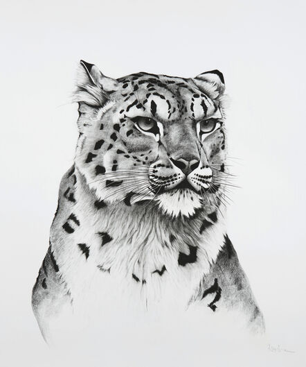 Rose Corcoran, ‘22. Snow Leopard Turned’, 2018
