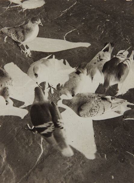 László Moholy-Nagy, ‘Untitled (pigeons)’, ca. 1925-1930
