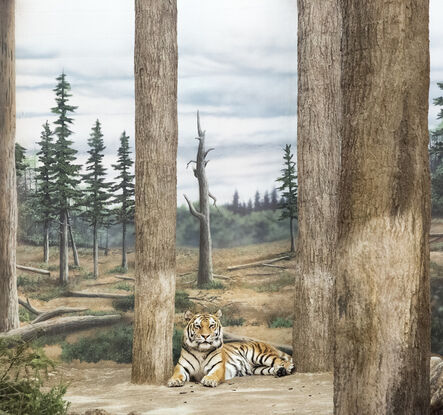 Eric Pillot, ‘Tiger and Forest’, 2015