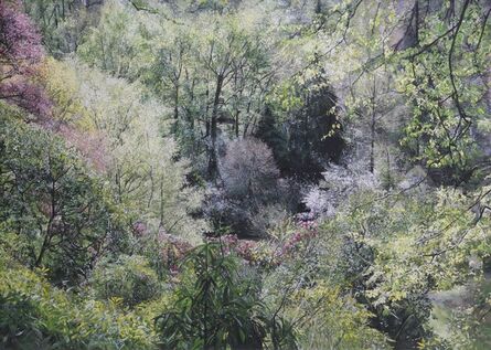 Kyounghee Noh, ‘Forest’, 2016